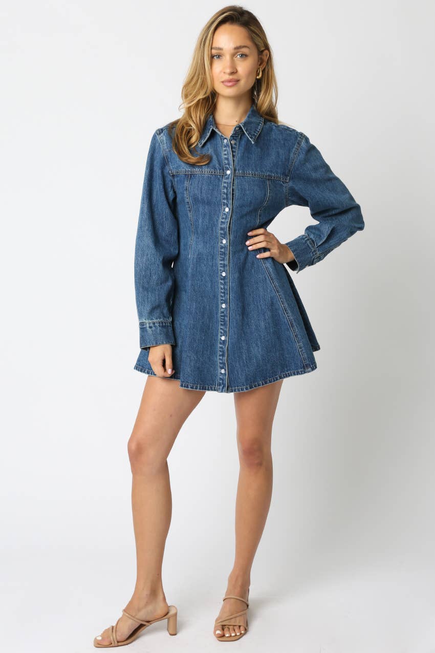 Angela Denim Mini Dress