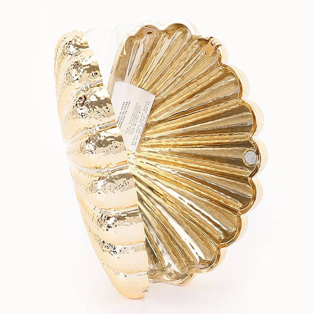 Metallic Acrylic Party Clutch