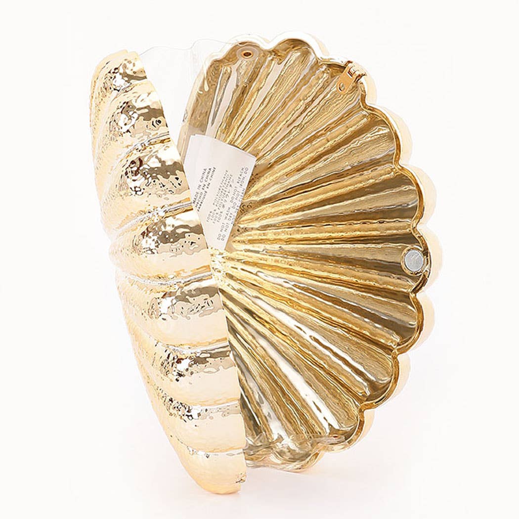 Metallic Acrylic Party Clutch