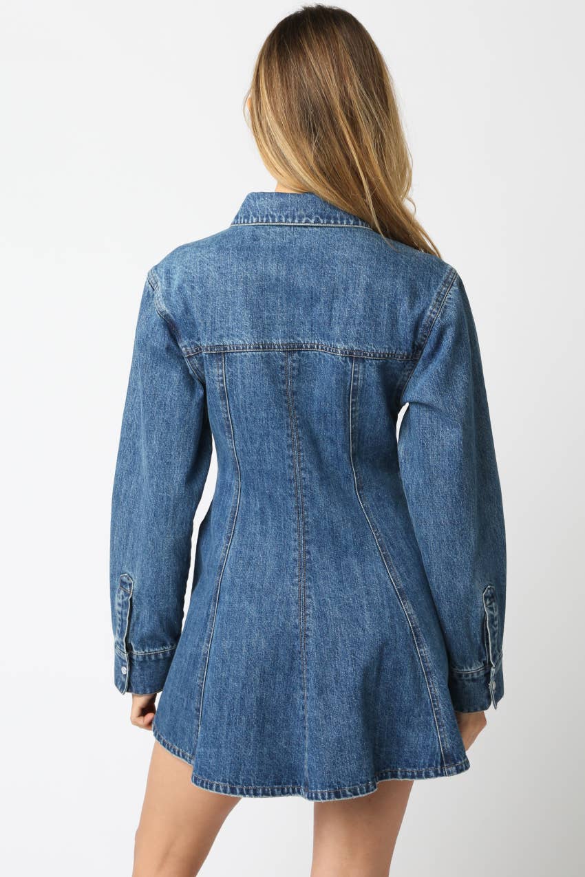 Angela Denim Mini Dress
