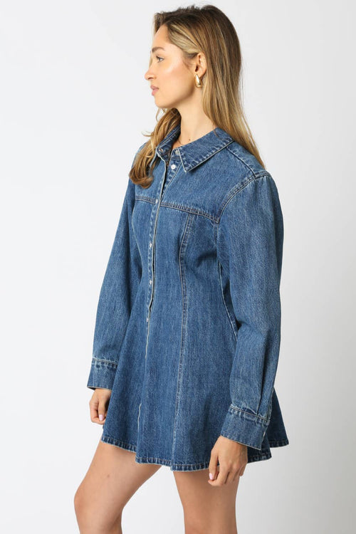 Angela Denim Mini Dress