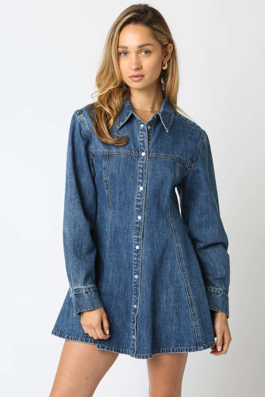 Angela Denim Mini Dress
