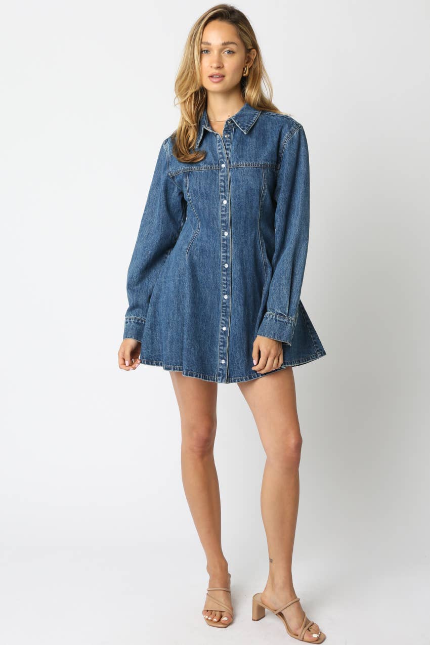 Angela Denim Mini Dress